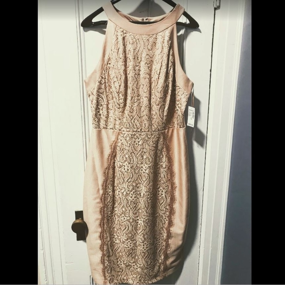 Blush Colored Sequin Lace Cocktail Dress